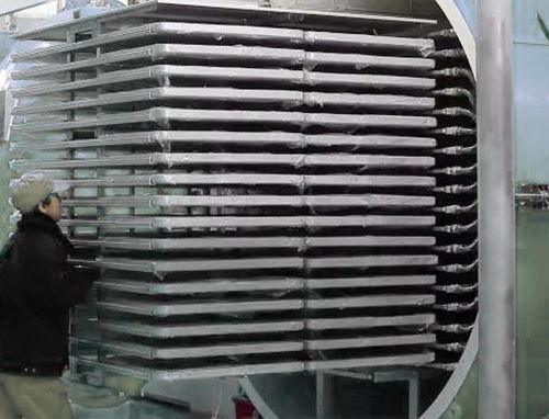 宠物食品冻干机生产厂家 技术革新与市场需求